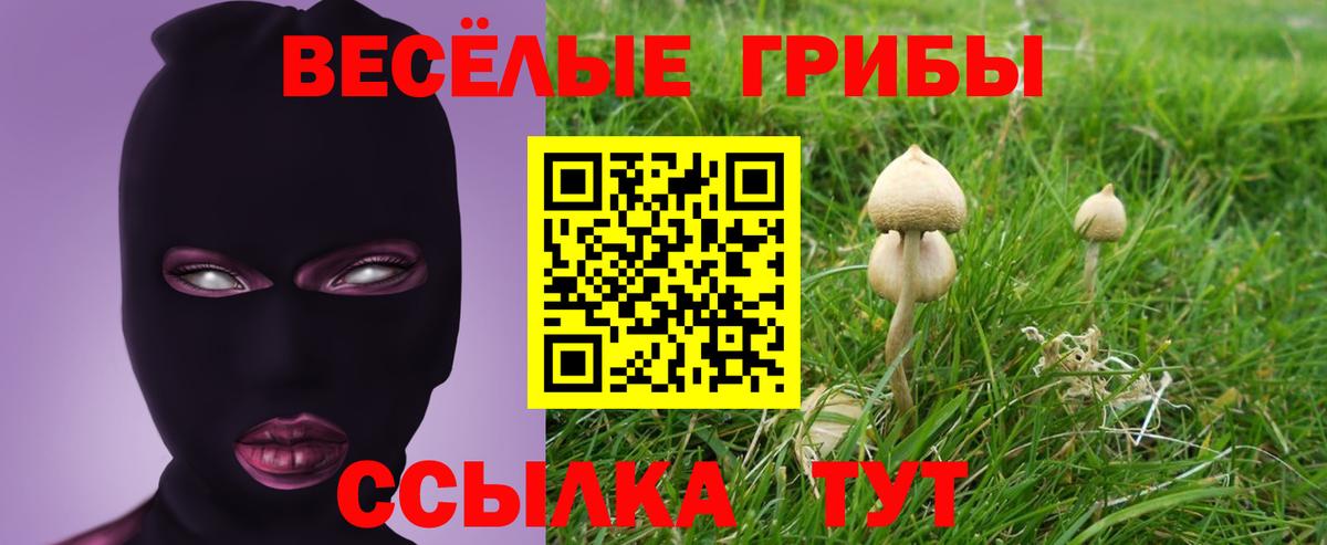 Галлюциногенные грибы Psilocybine cubensis  Вход с VPN  наркошоп  Галлюциногенные грибы GOLDEN TEACHER  Куйбышев 
